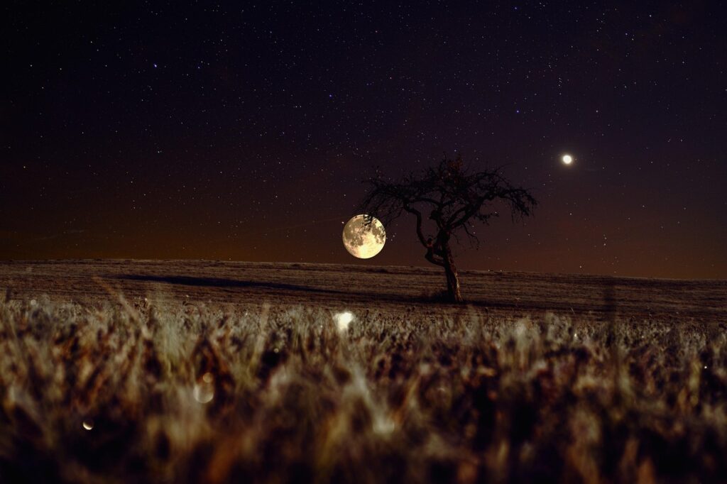 sky, moon, night, evening, night sky, full moon, moonlight, venus, stars, field, meadow, landscape, scenery, nature, moon, moon, moon, moon, moon, night sky, moonlight