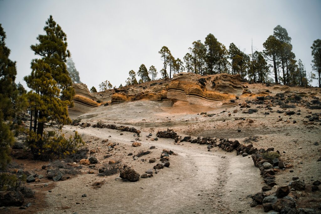 Exploring the unique rock formations and pine trees of Paisaje Lunar in Tenerife.